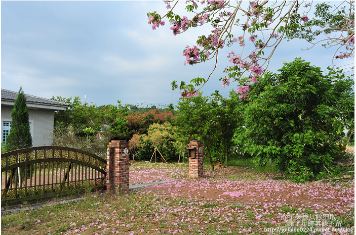 DSC_9469.jpg DSC_9469.jpg