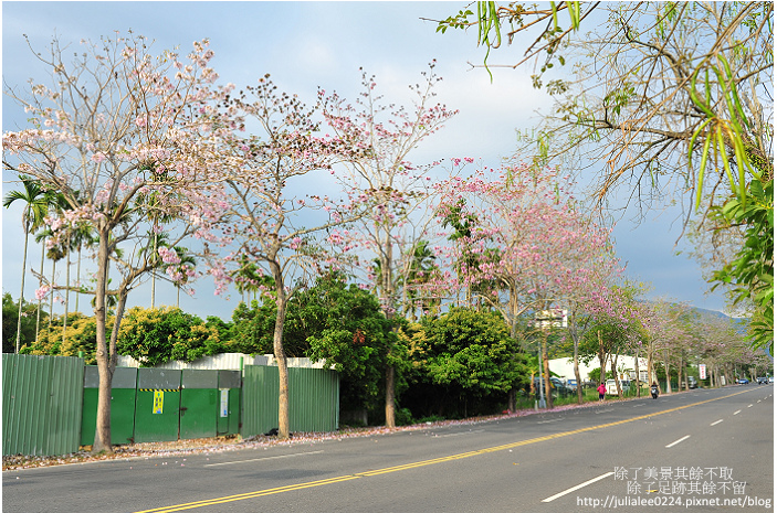 DSC_9483.jpg DSC_9483.jpg