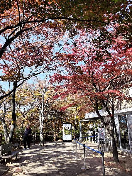 [韓國]大邱、釜山賞楓景點-八公山、桐華寺、聖堂池、頭流公園