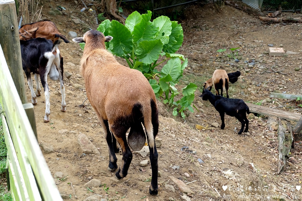 DSCF3283.jpg DSCF3283.jpg