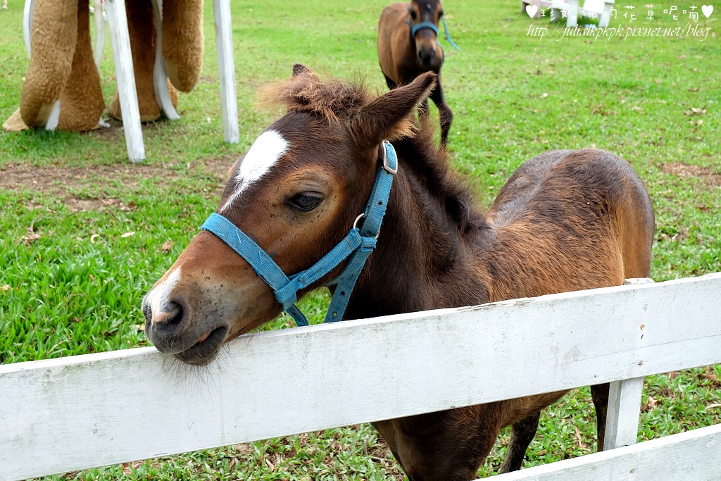 DSCF3287.jpg DSCF3287.jpg