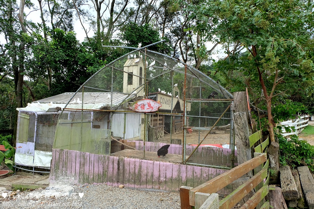 DSCF3288.jpg DSCF3288.jpg