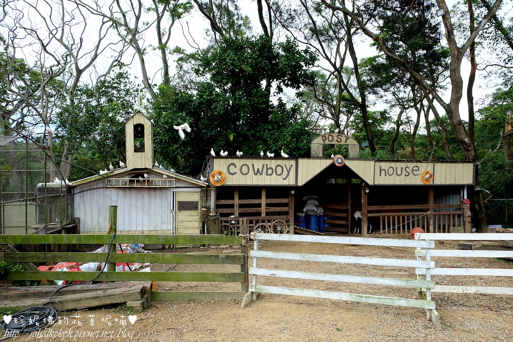 DSCF3289.jpg DSCF3289.jpg