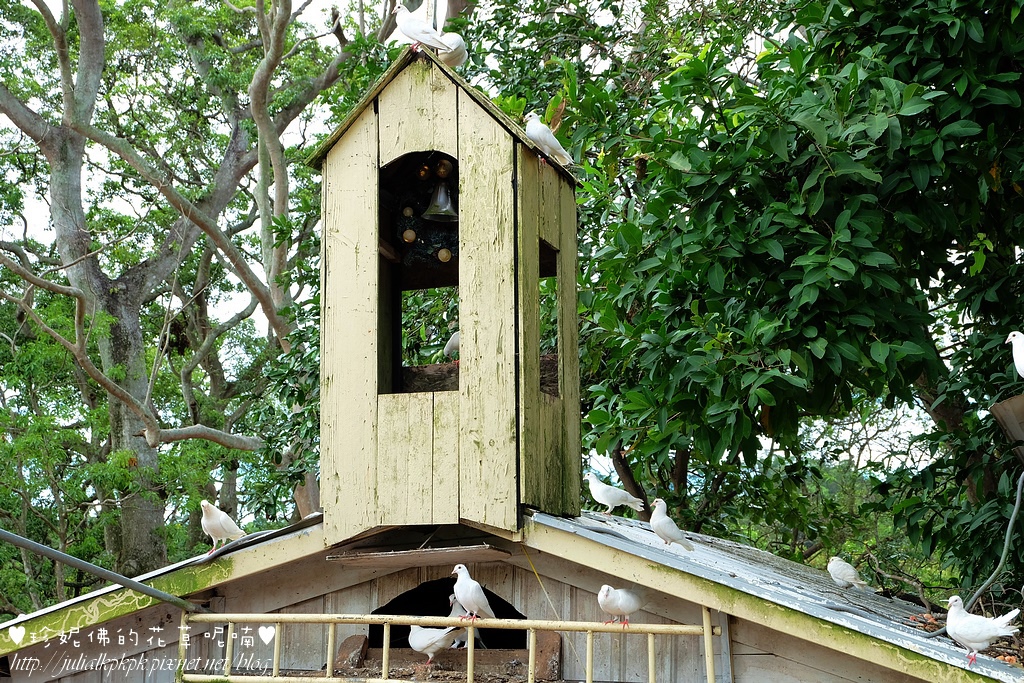 DSCF3293.jpg DSCF3293.jpg