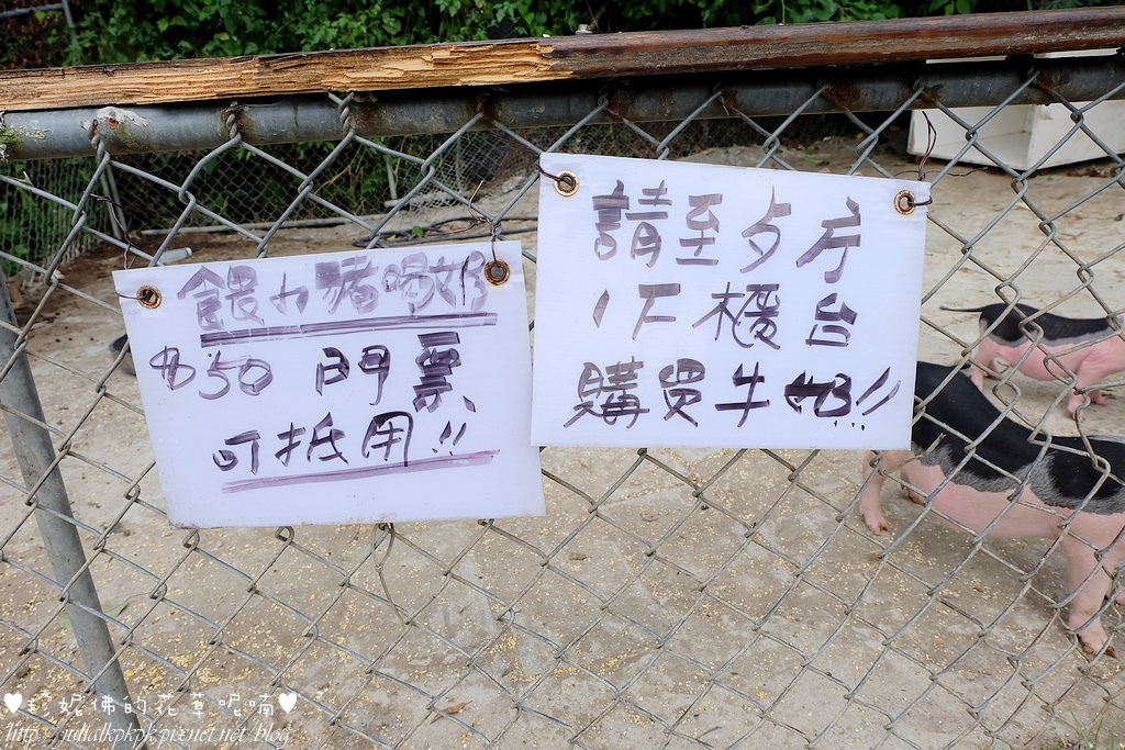 DSCF3296.jpg DSCF3296.jpg