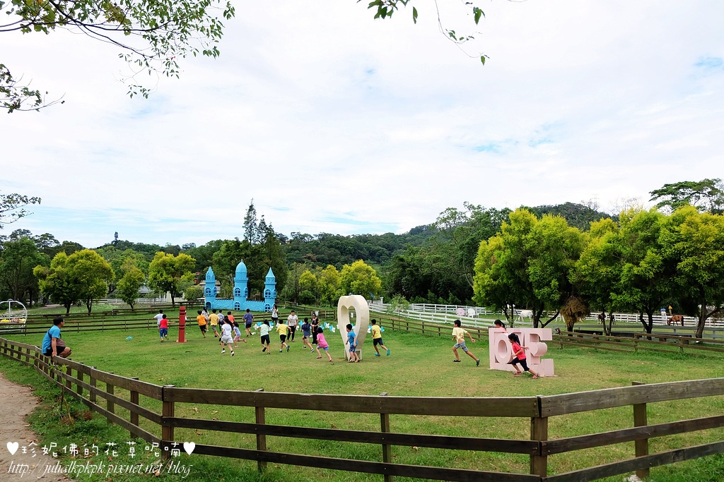 DSCF3316.jpg DSCF3316.jpg