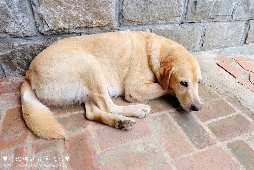 DSCF3320.jpg DSCF3320.jpg