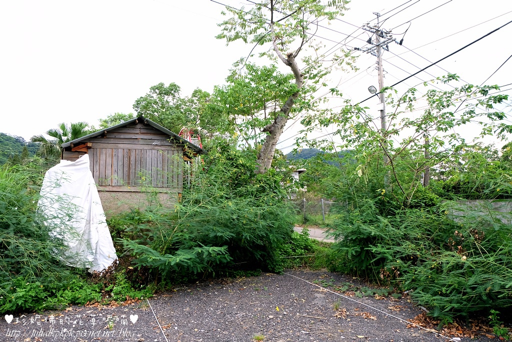 DSCF3386.jpg DSCF3386.jpg