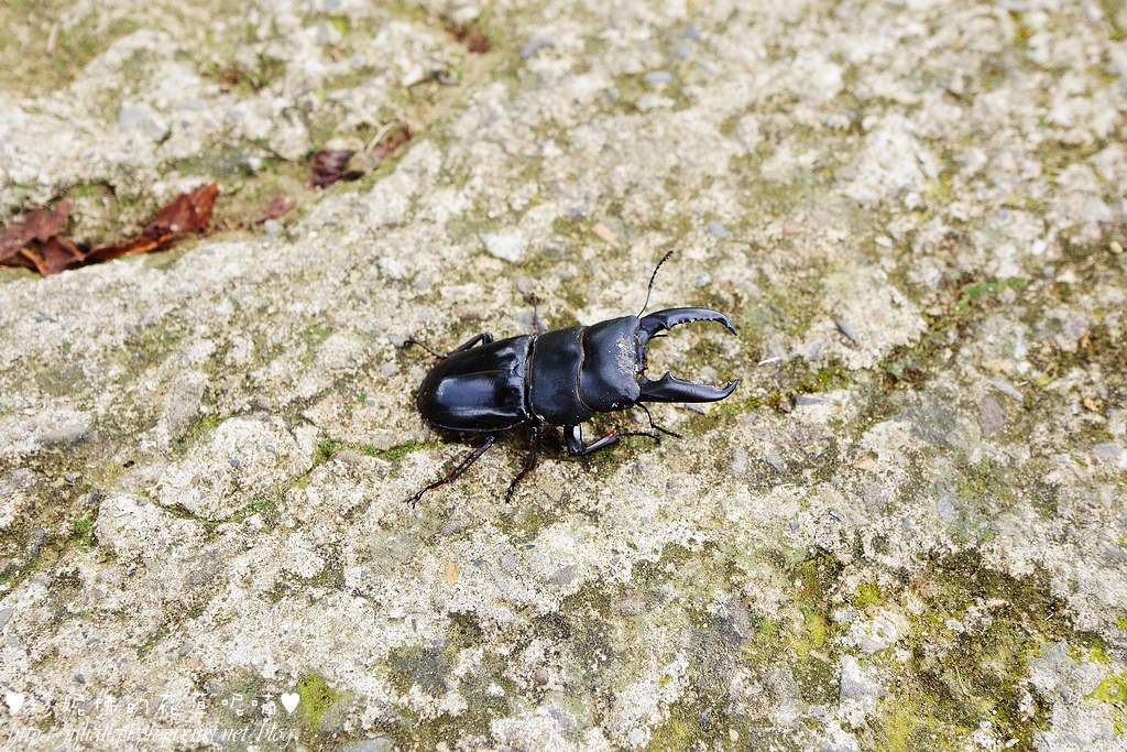 P1340701.jpg P1340701.jpg