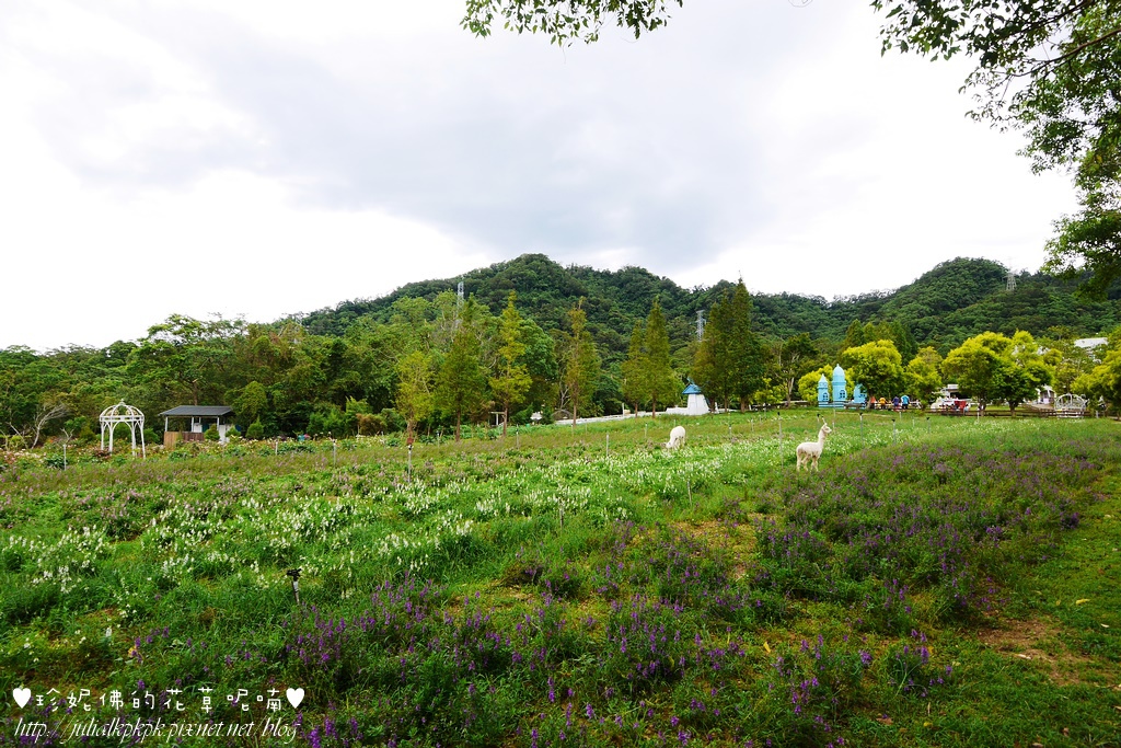 P1340703.jpg P1340703.jpg