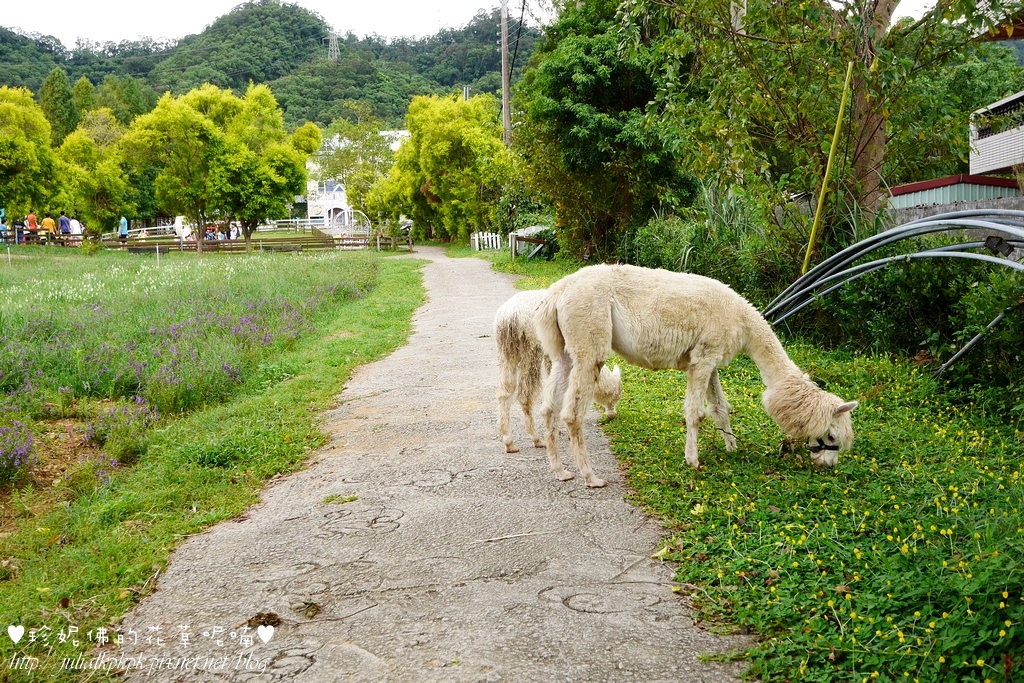 P1340706.jpg P1340706.jpg