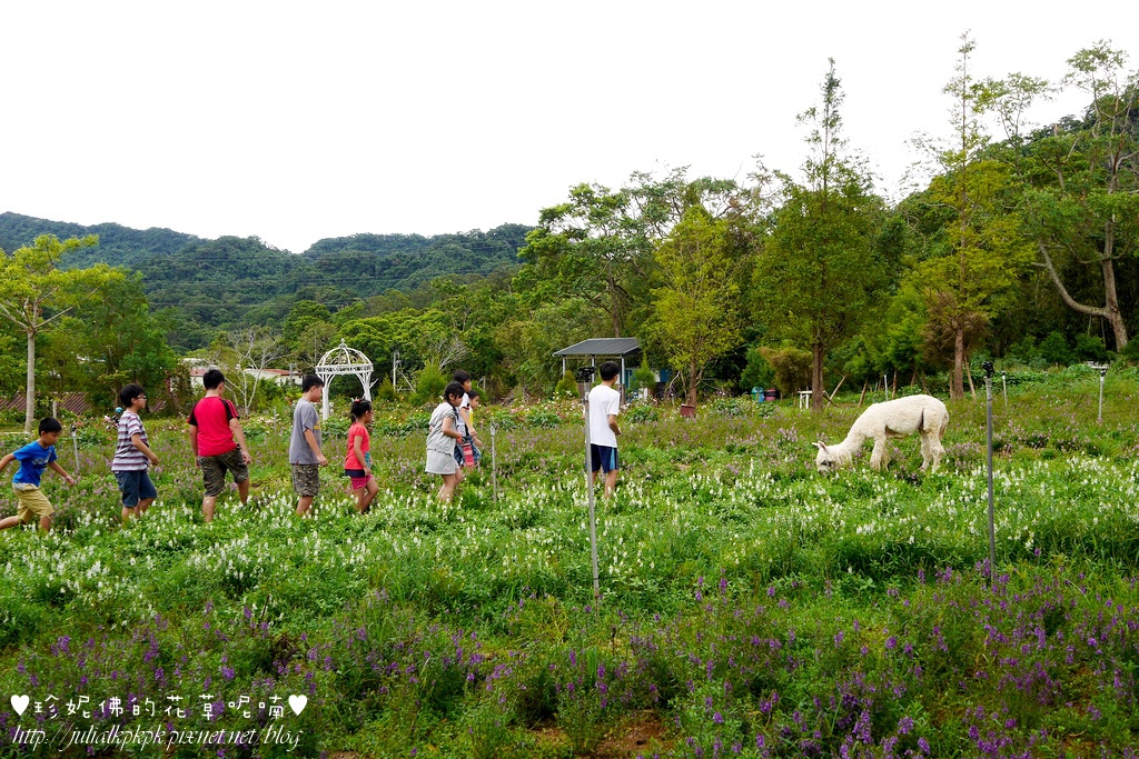 P1340709.jpg P1340709.jpg