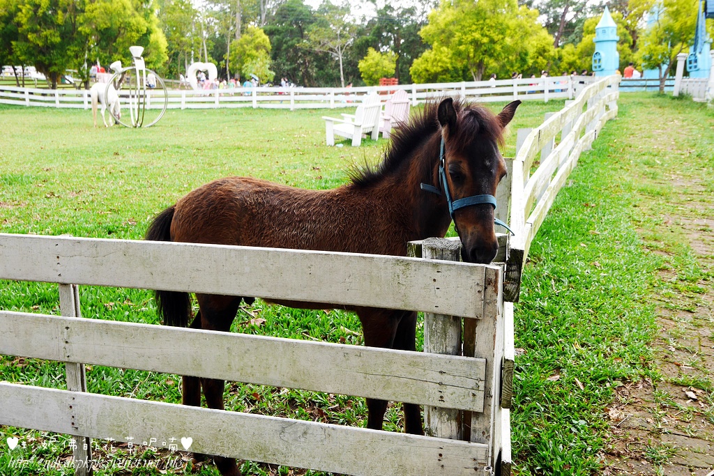 P1340736.jpg P1340736.jpg