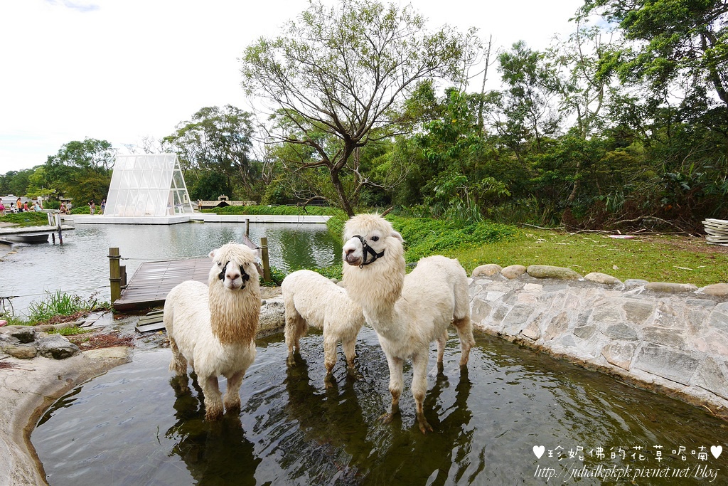 P1340777.jpg P1340777.jpg