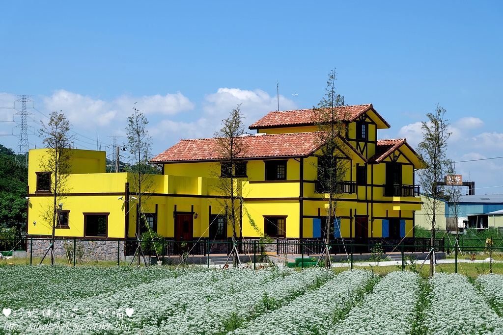 DSCF4302.jpg DSCF4302.jpg