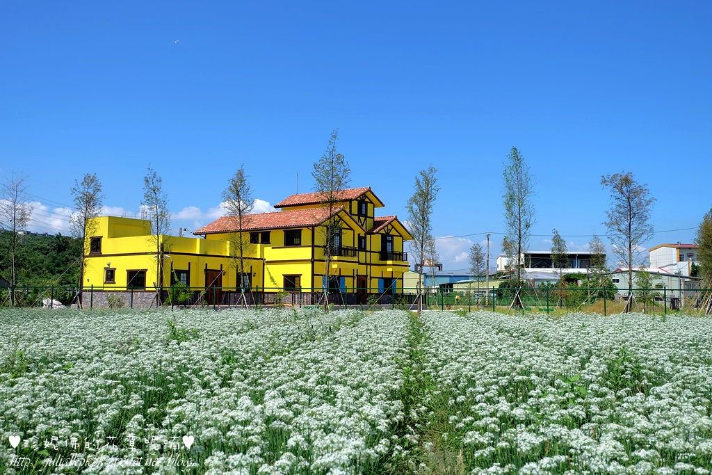 DSCF4313.jpg DSCF4313.jpg