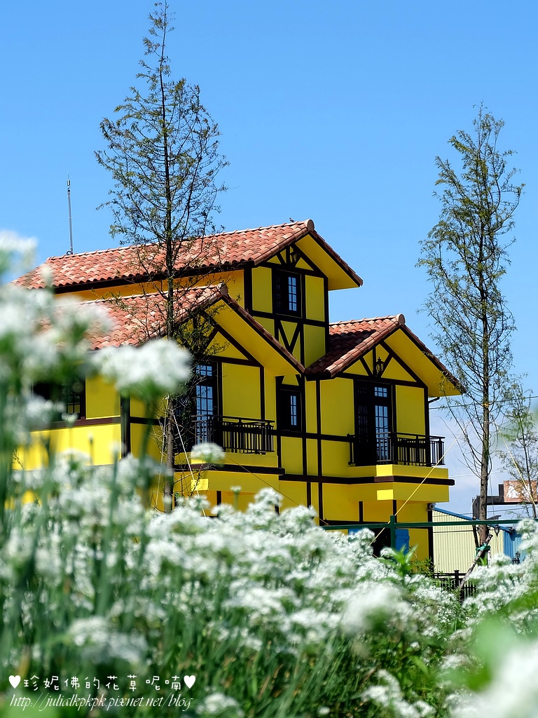 DSCF4317.jpg DSCF4317.jpg