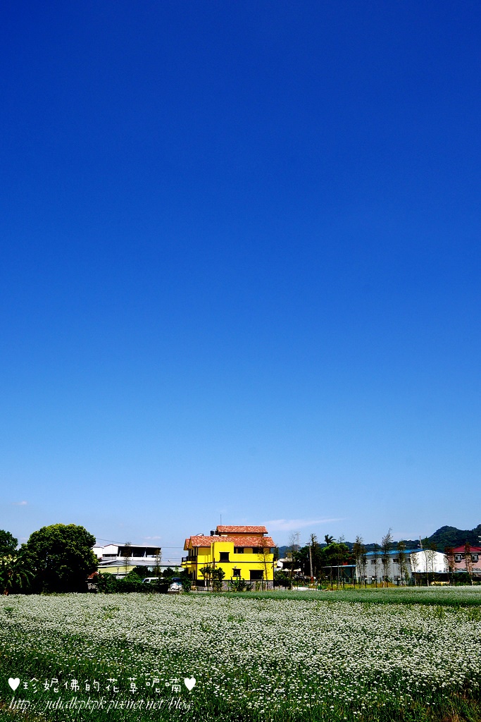 P1350402.jpg P1350402.jpg