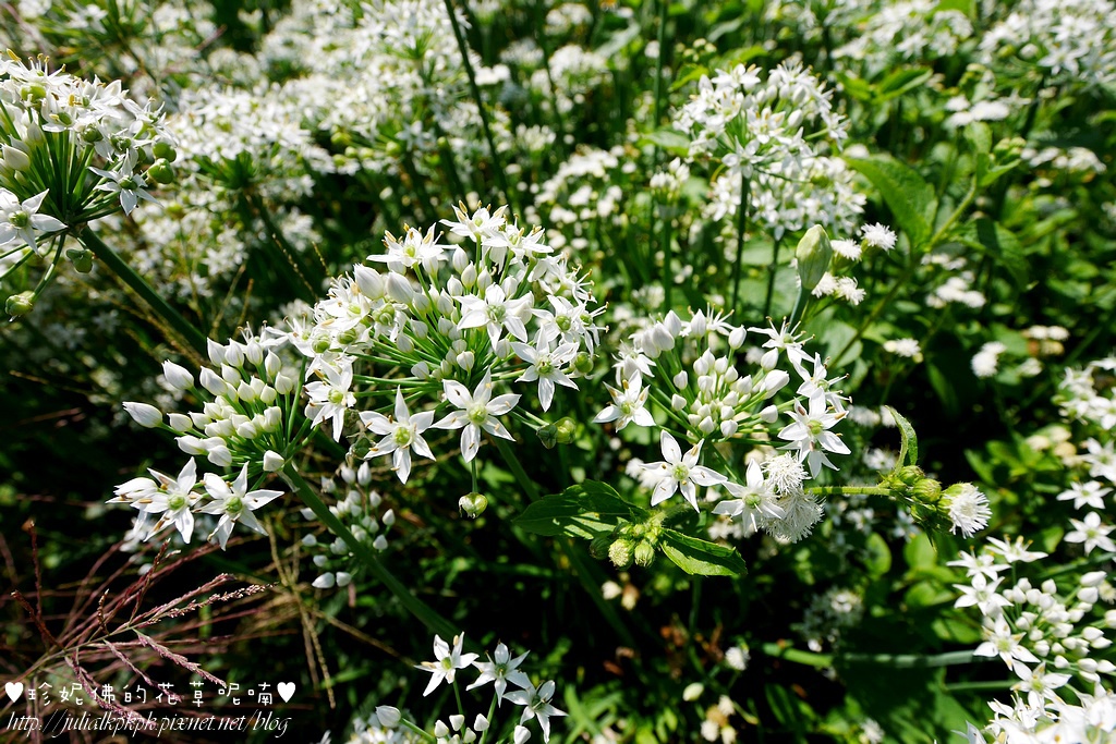 P1350416.jpg P1350416.jpg