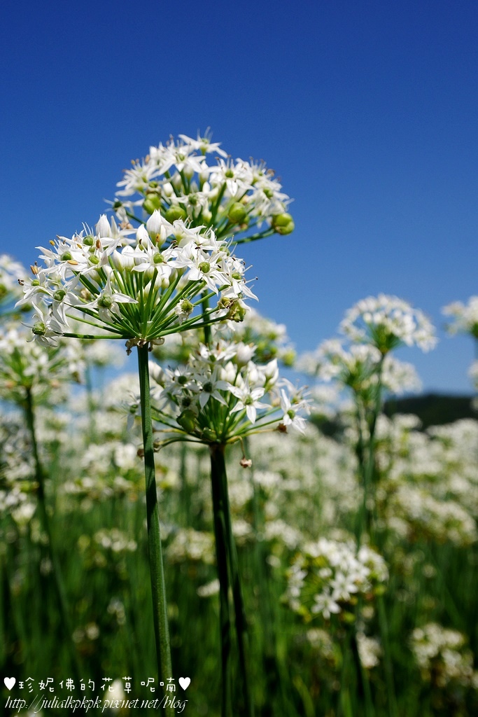 P1350460.jpg P1350460.jpg