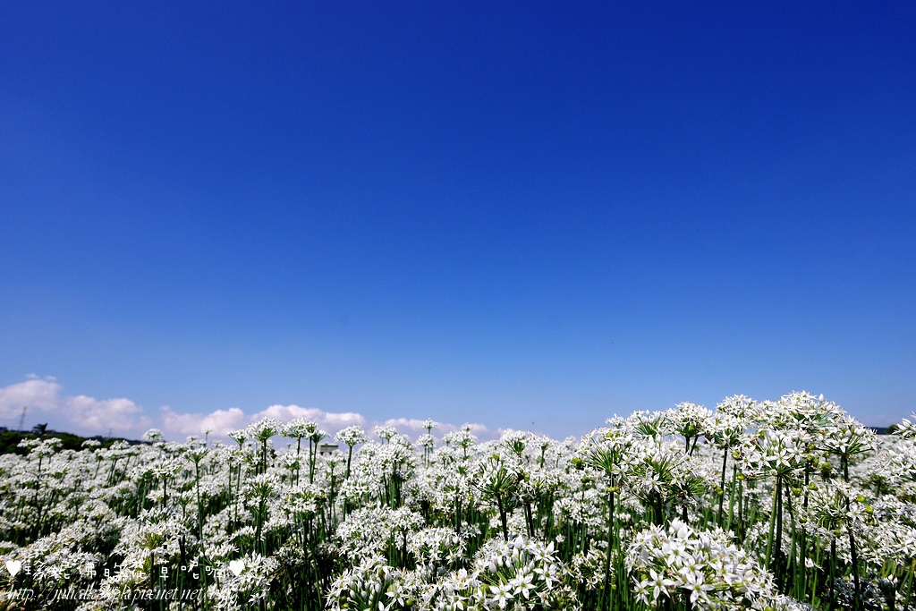 P1350473.jpg P1350473.jpg