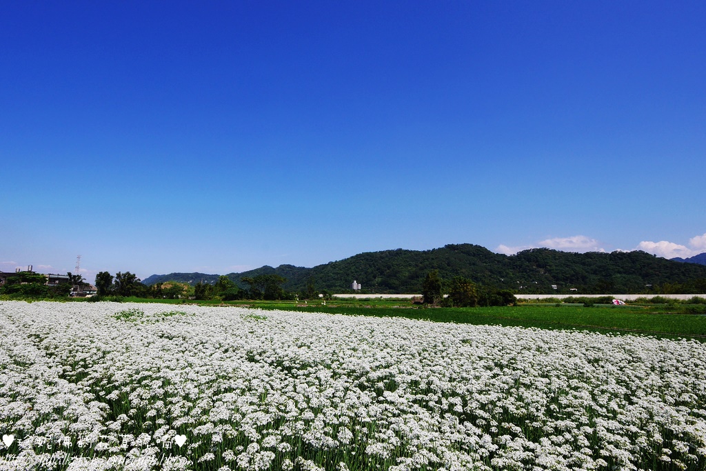 P1350467.jpg P1350467.jpg