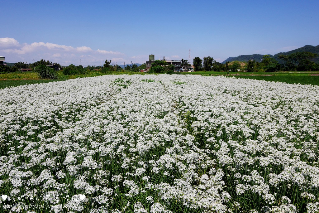 P1350475.jpg P1350475.jpg