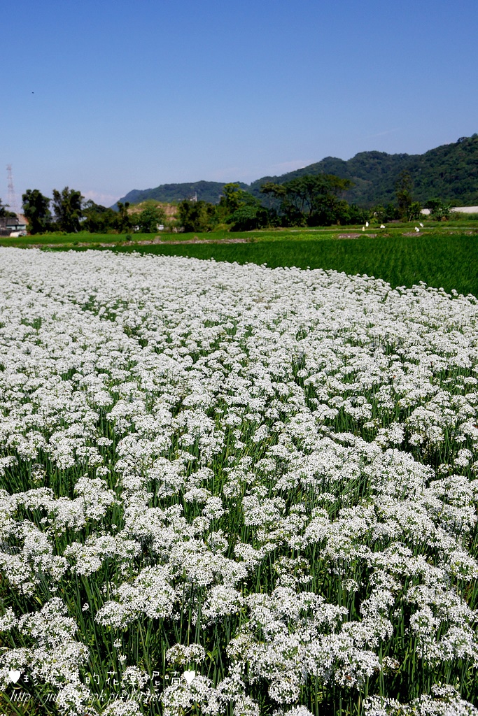 P1350489.jpg P1350489.jpg