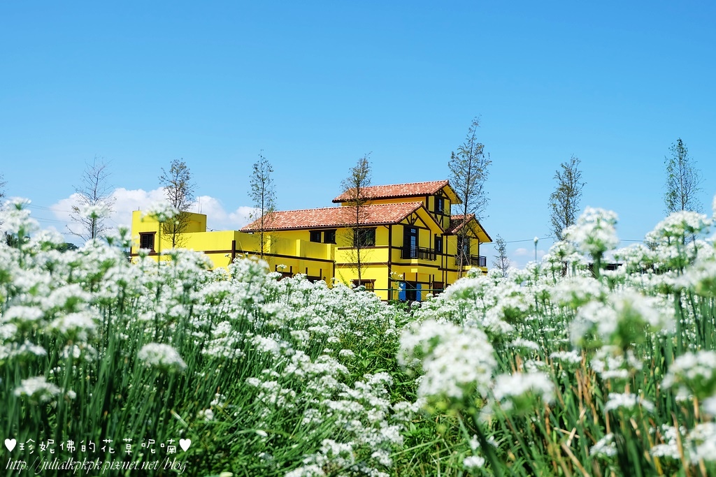 DSCF4326.jpg DSCF4326.jpg