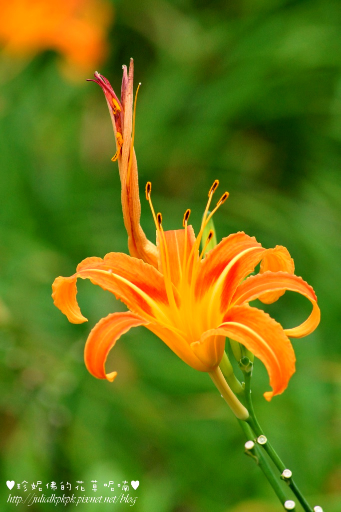 DSC02268.jpg DSC02268.jpg