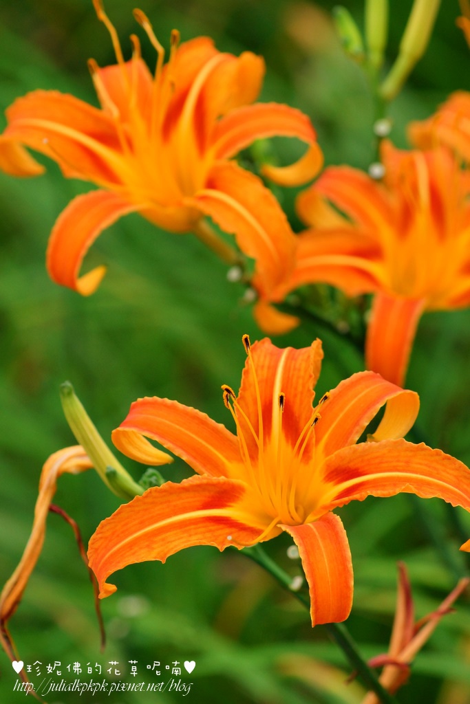 DSC02269.jpg DSC02269.jpg