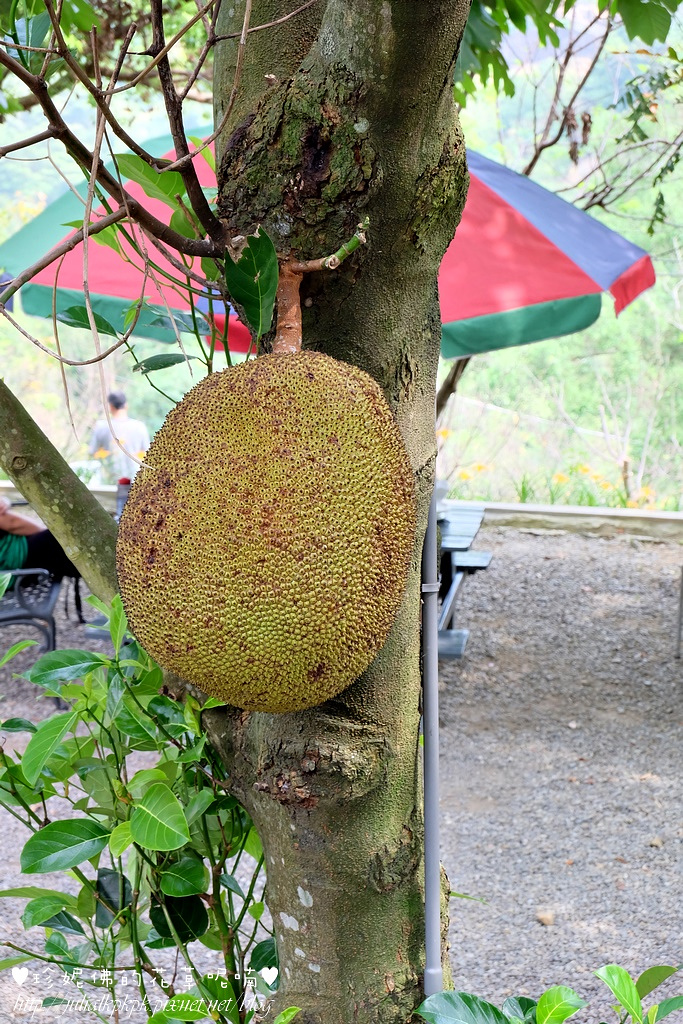 DSCF5139.jpg DSCF5139.jpg