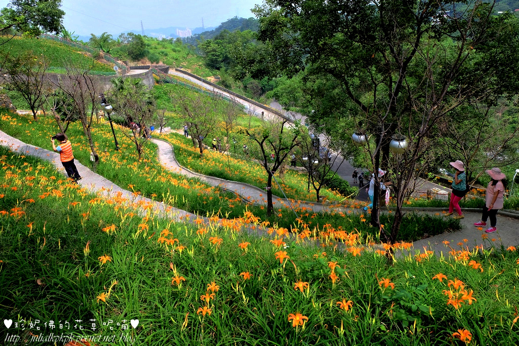 DSCF5142.jpg DSCF5142.jpg