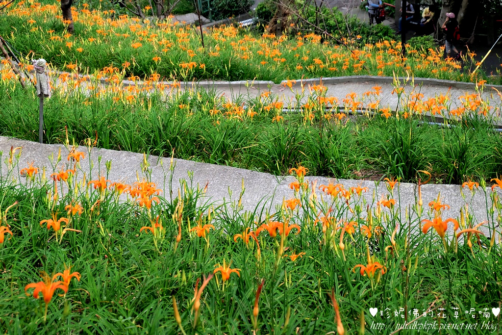 DSCF5147.jpg DSCF5147.jpg