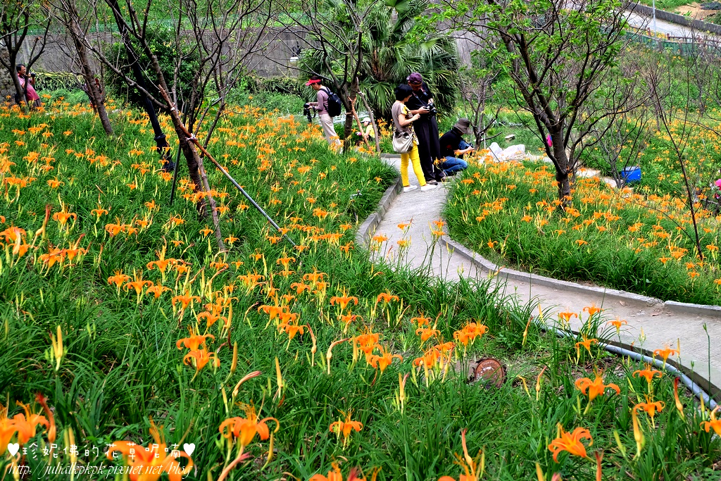 DSCF5160.jpg DSCF5160.jpg