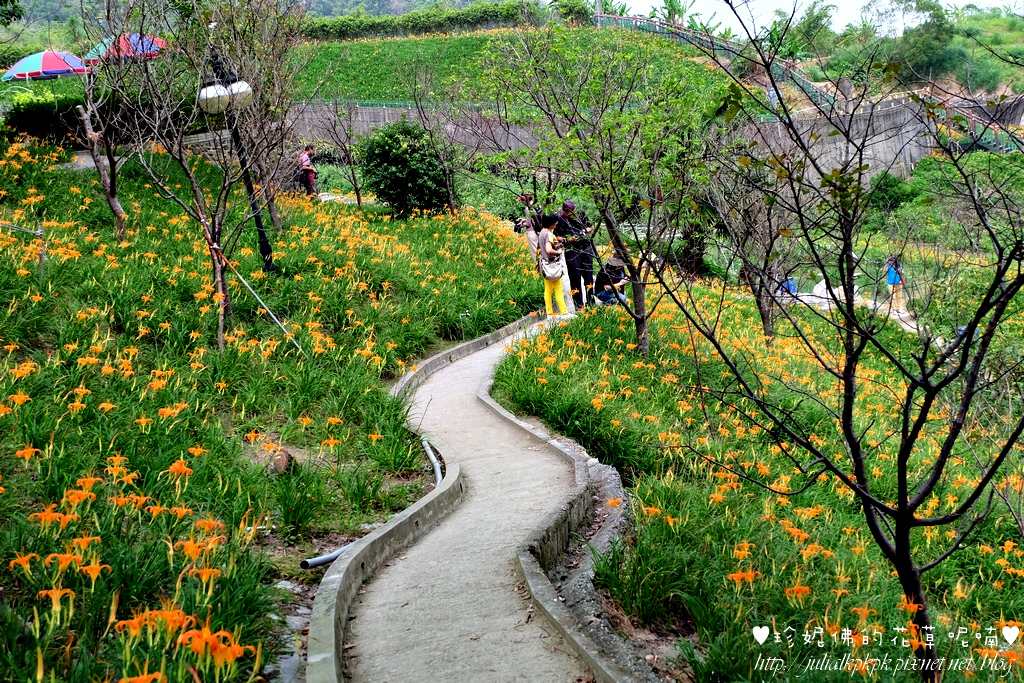 DSCF5161.jpg DSCF5161.jpg