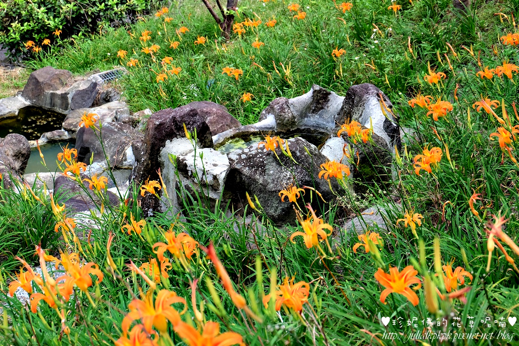 DSCF5170.jpg DSCF5170.jpg