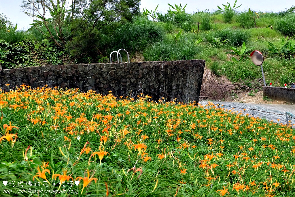 DSCF5189.jpg DSCF5189.jpg