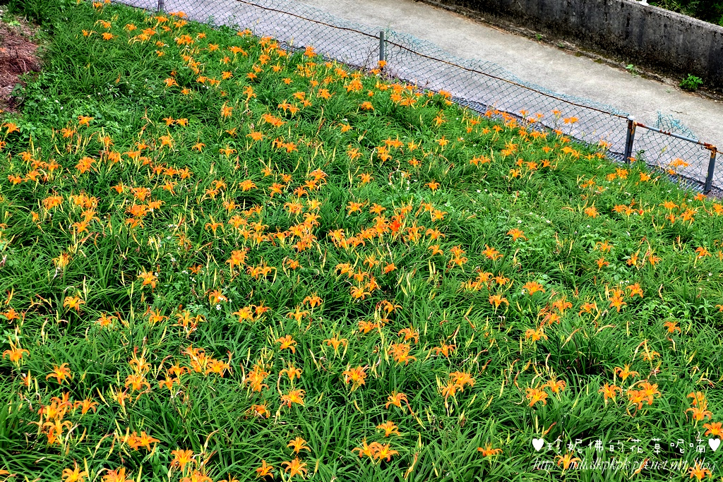 DSCF5193.jpg DSCF5193.jpg