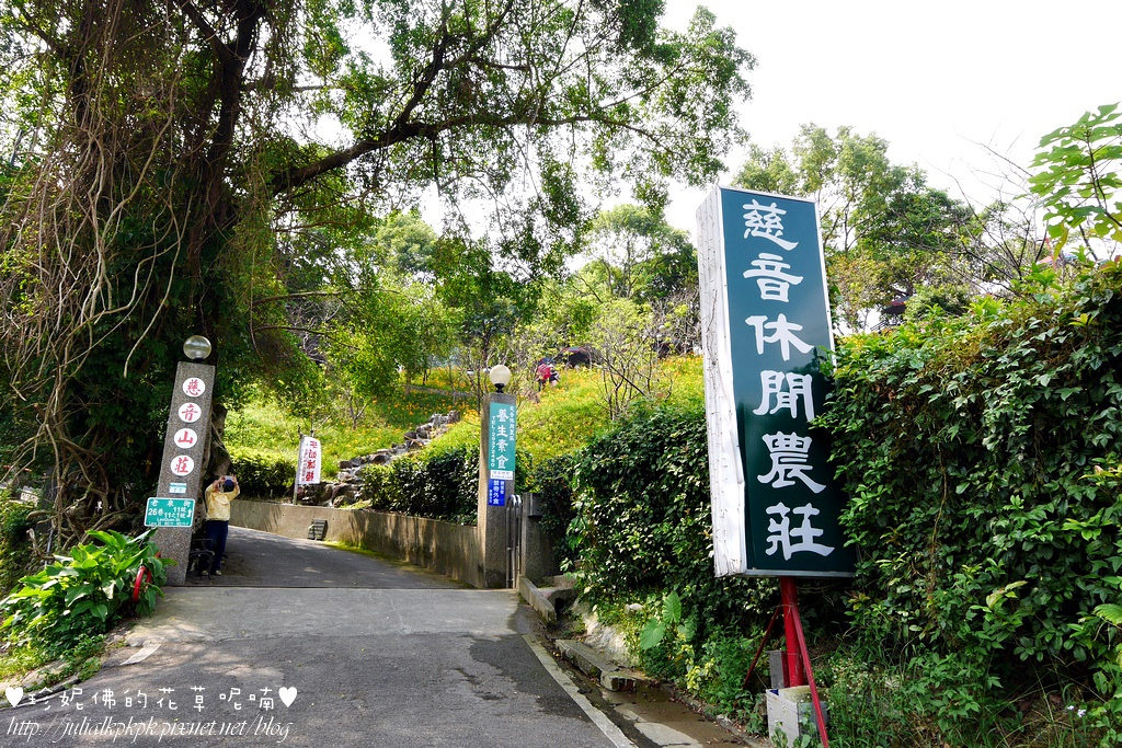 P1360082.jpg P1360082.jpg