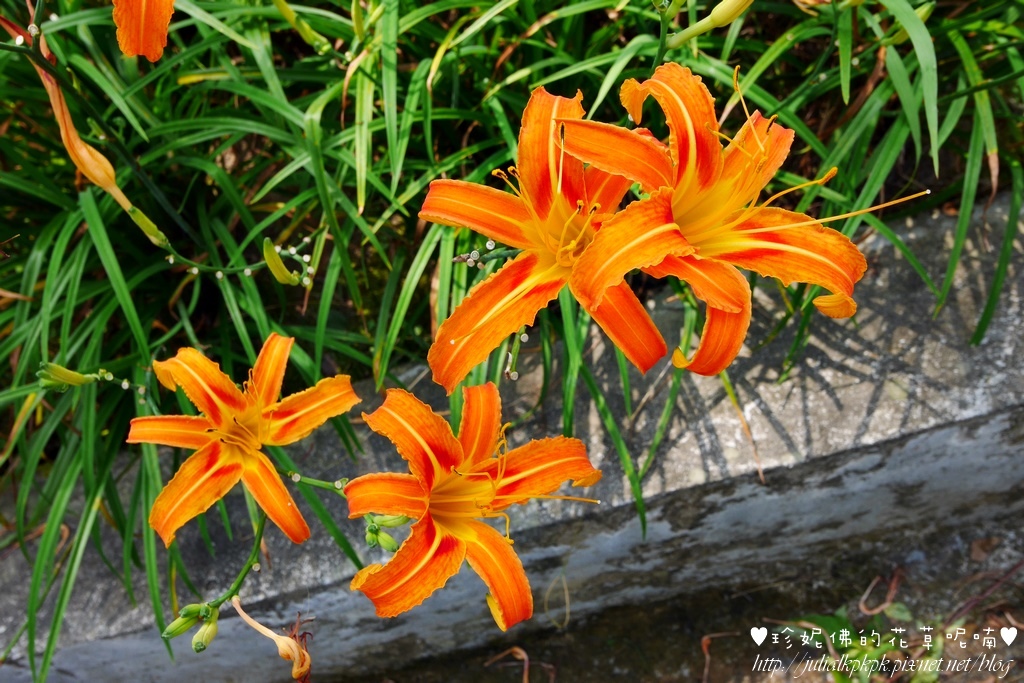 P1360092.jpg P1360092.jpg