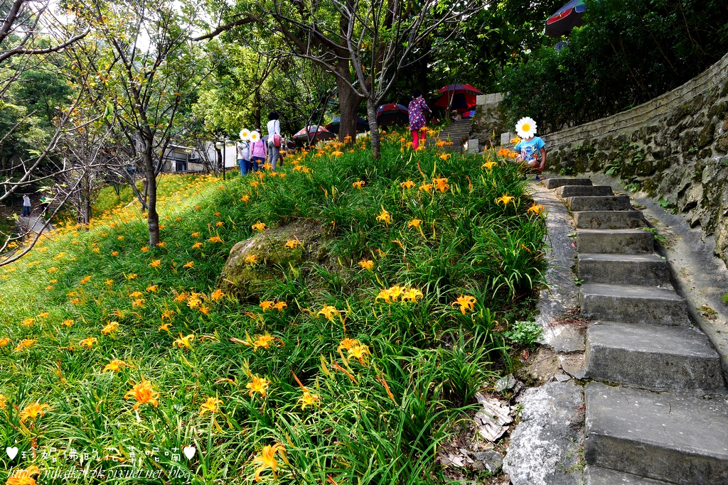 P1360097.jpg P1360097.jpg