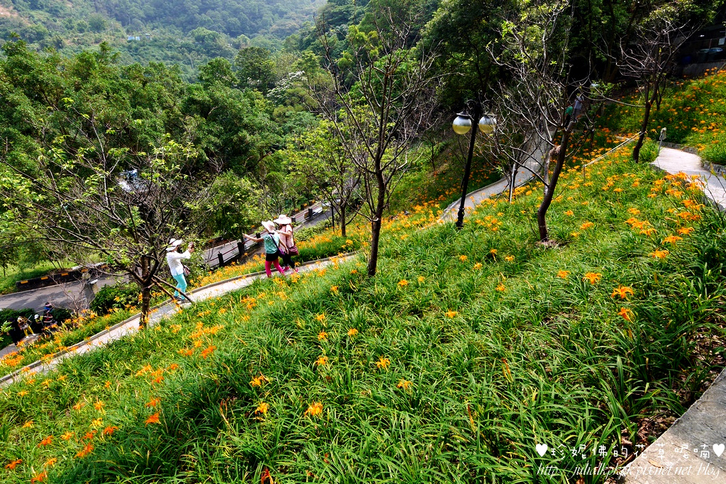 P1360098.jpg P1360098.jpg