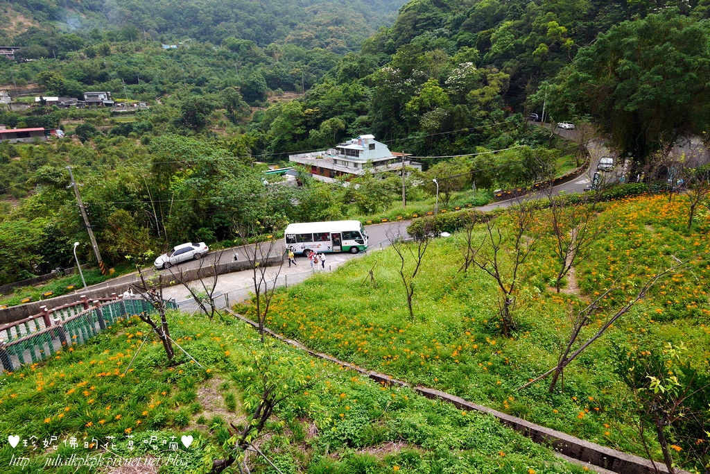 P1360109.jpg P1360109.jpg