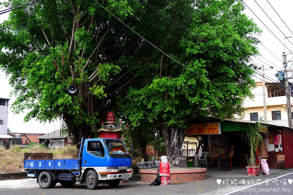 P1370983.jpg P1370983.jpg