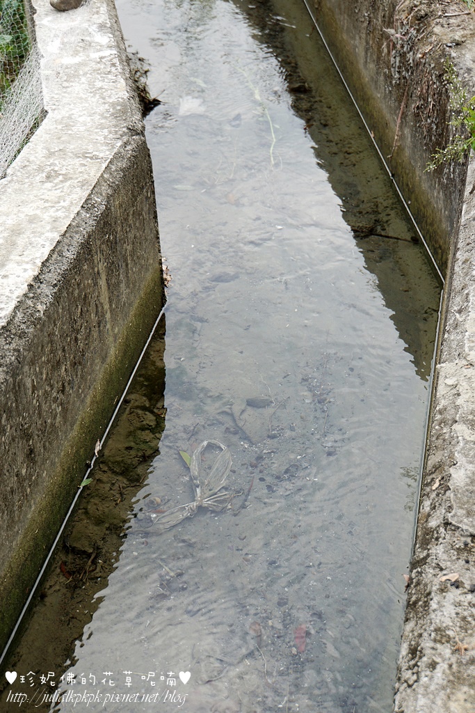 DSC01407.jpg DSC01407.jpg