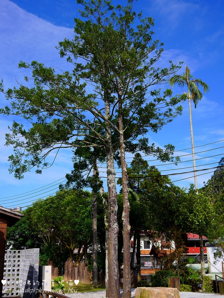 P1390678.jpg P1390678.jpg