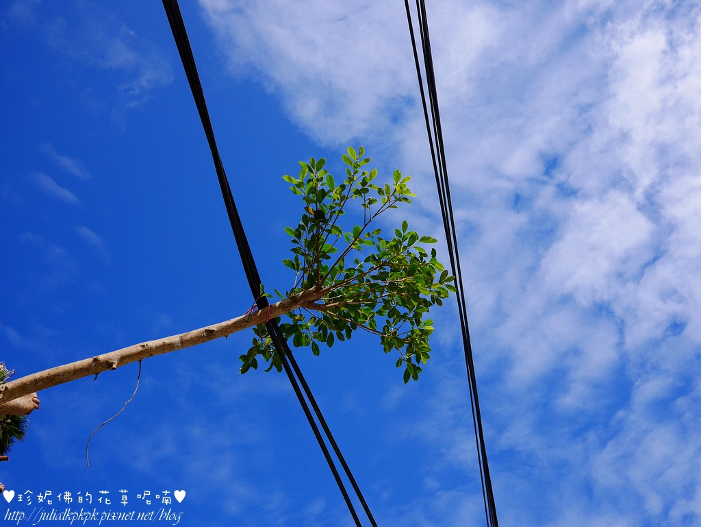 P1390680.jpg P1390680.jpg