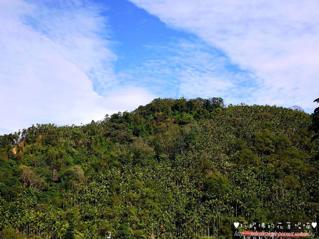 P1390698.jpg P1390698.jpg