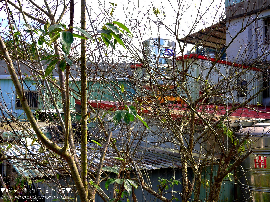 P1390702.jpg P1390702.jpg